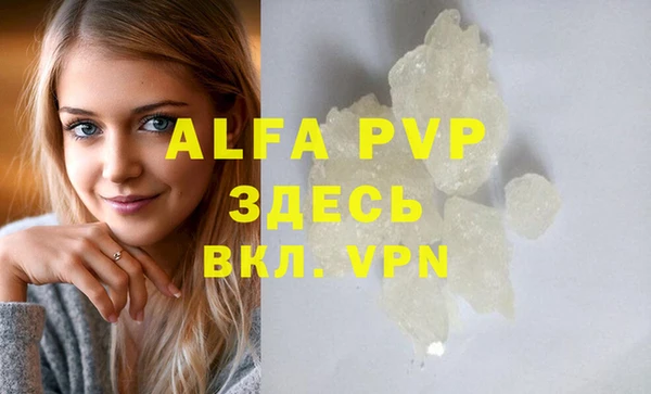 крисы Баксан