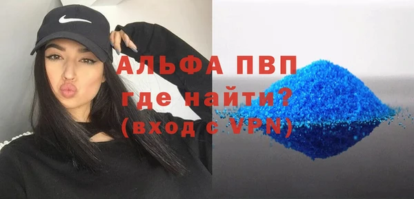 крисы Баксан