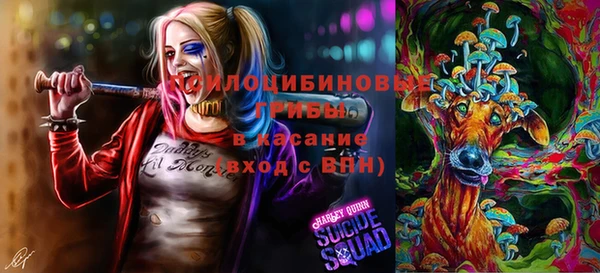 спиды Аркадак