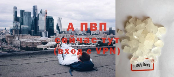 ПСИЛОЦИБИНОВЫЕ ГРИБЫ Саяногорск