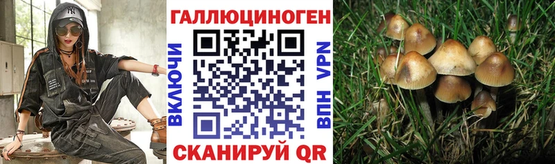 Галлюциногенные грибы MAGIC MUSHROOMS Кувшиново