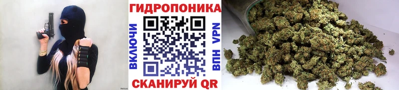 Бошки марихуана OG Kush  Кувшиново 